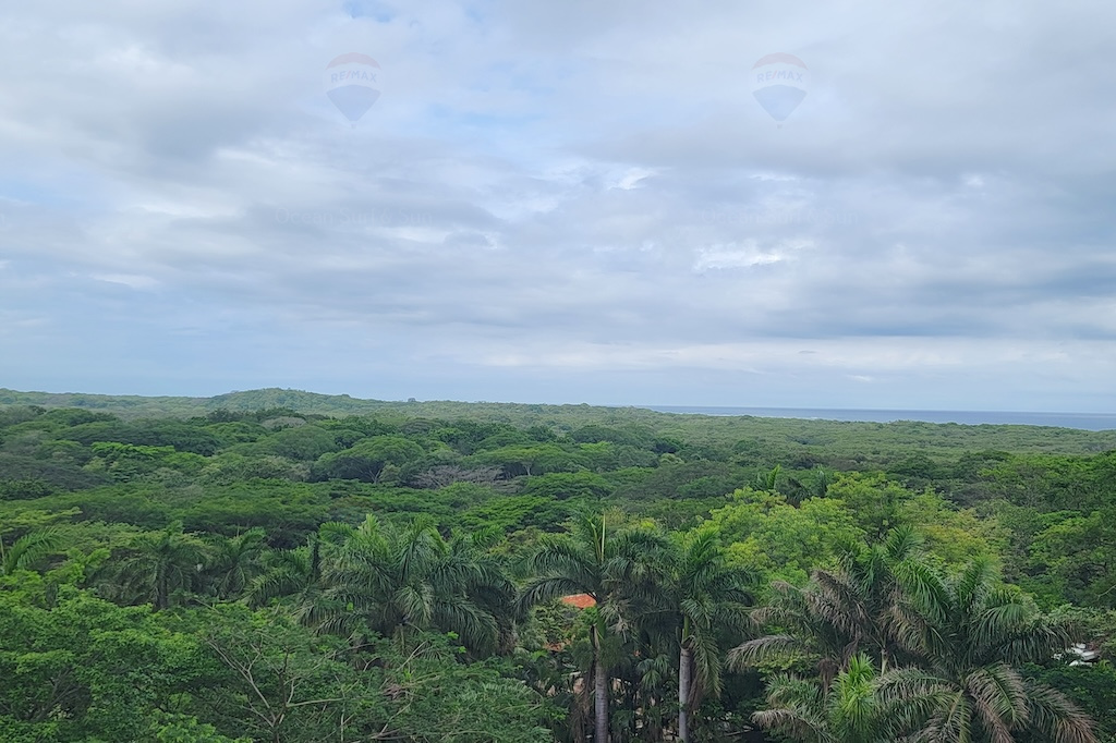 tierra-condominium-unit-2-playa-tamarindo