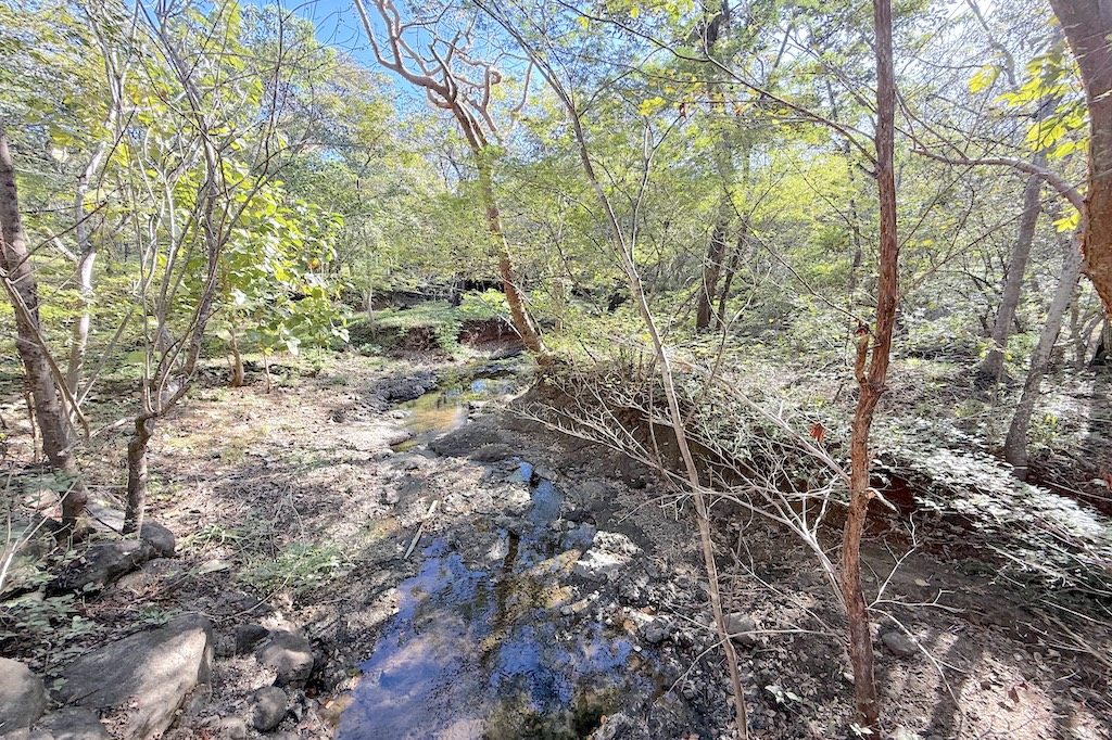 Finca-Vista-Canafistula