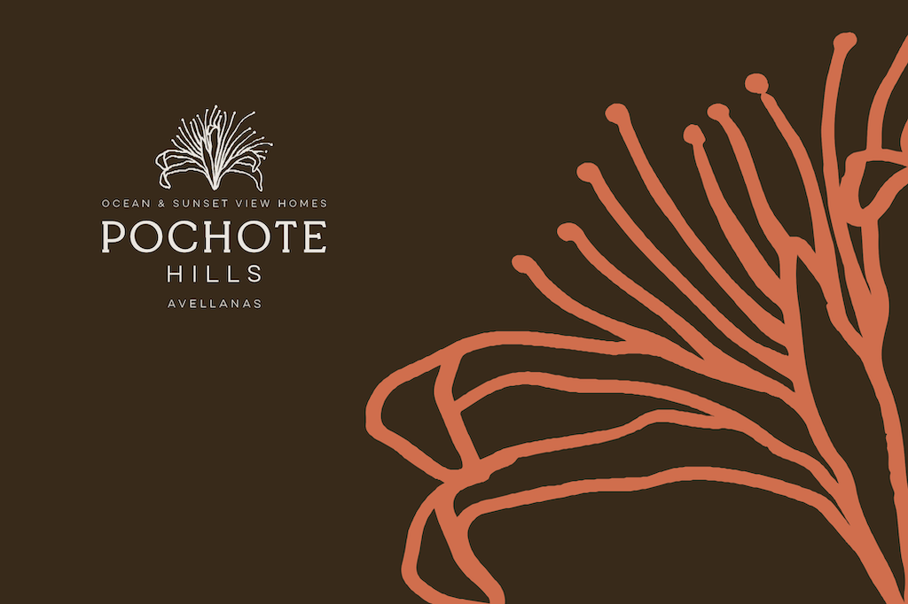 pochote-hills-avellanas-hillside-development