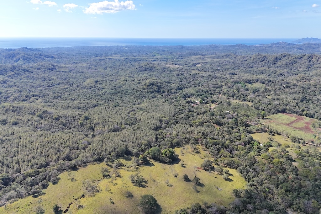 Finca-Vista-Canafistula