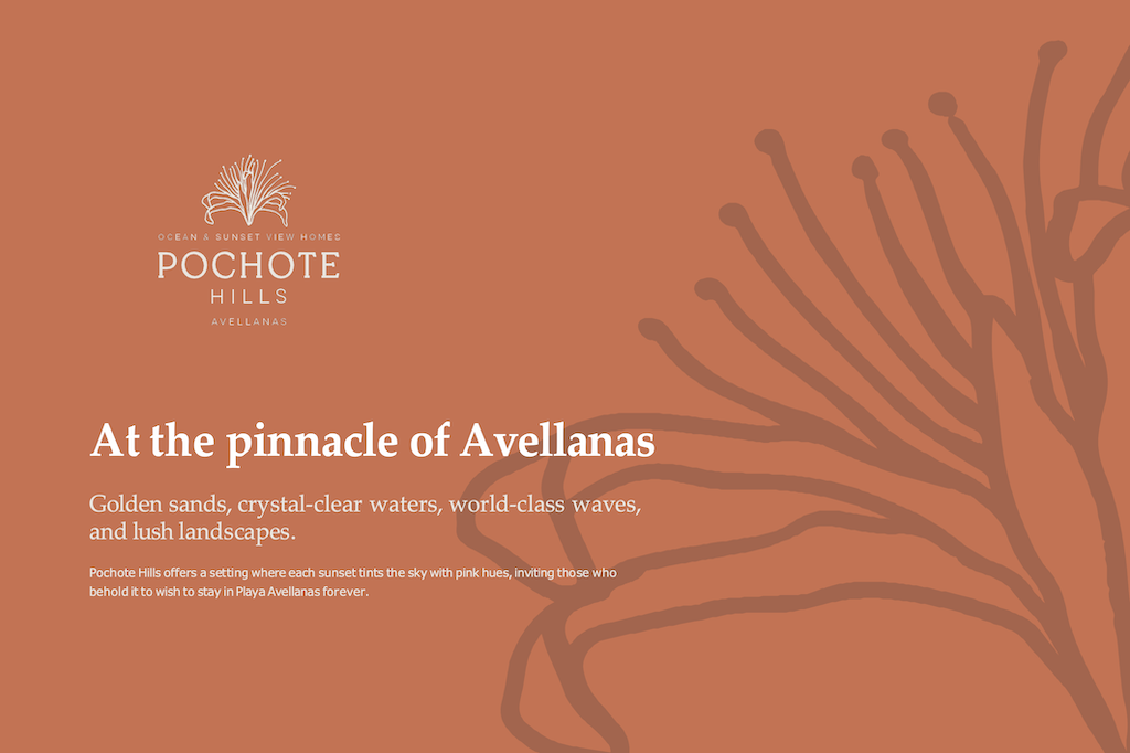 pochote-hills-avellanas-hillside-development