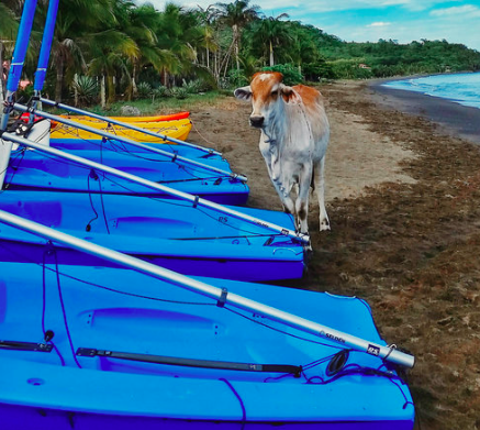 Sailboats in Costa Rica