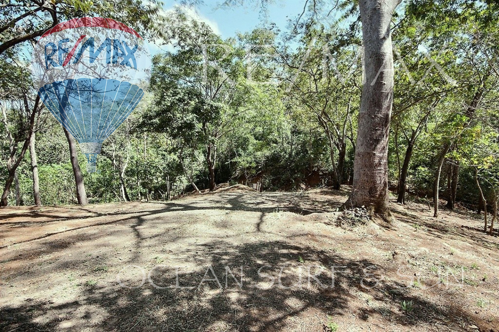 Finca Sybilla, Canafistula, Costa Rica