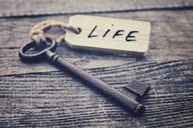 Image of a key with Life tag